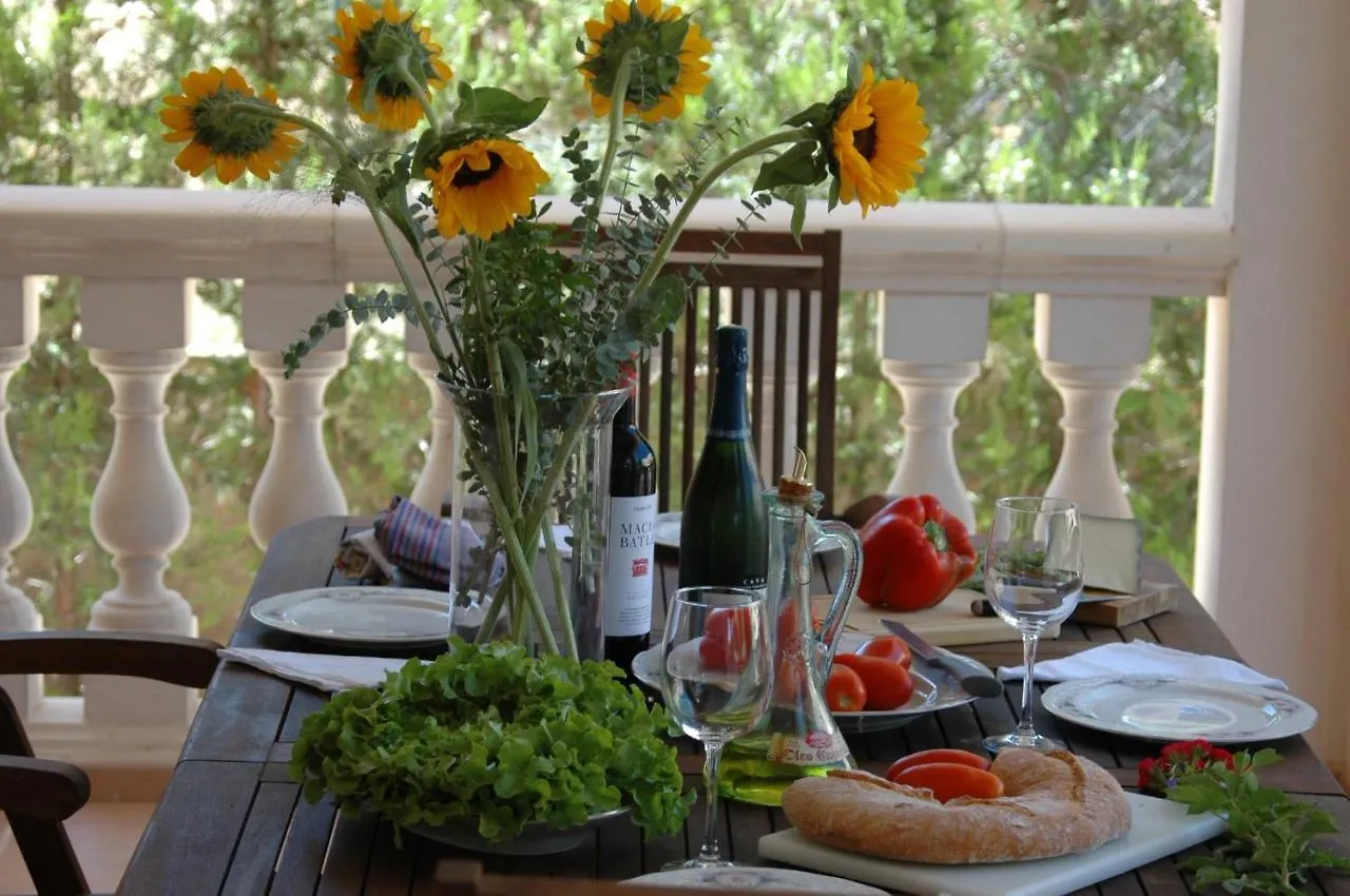 Can Joan Villa Palma de Mallorca Holiday home